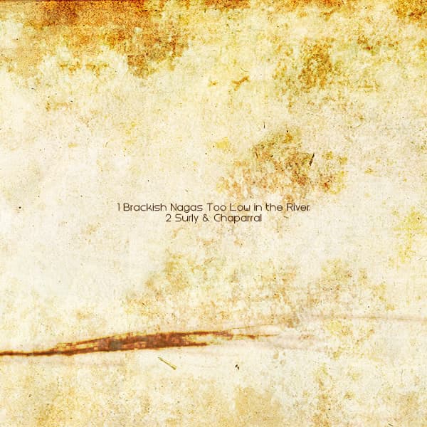 Red Seals cover art 2