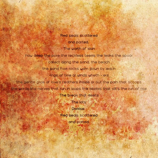 Red Seals cover art 3