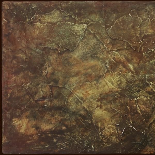 Skin Diagram cover art 1