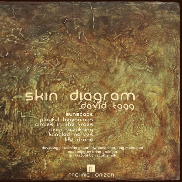 Skin Diagram cover art 2