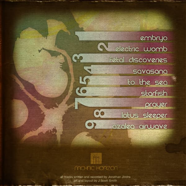 Fetal Discoveries cover art 2