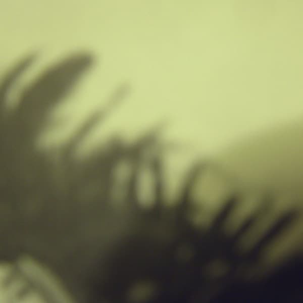 You'll Be A Hero Soon, Speaker cover art 3