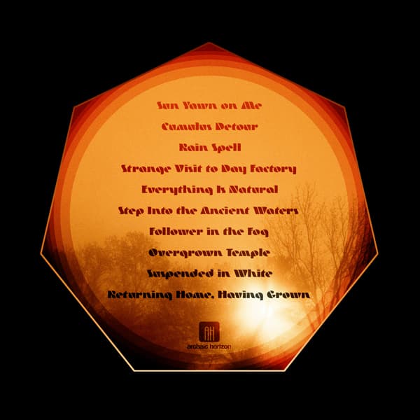 Finding Gaia cover art 2