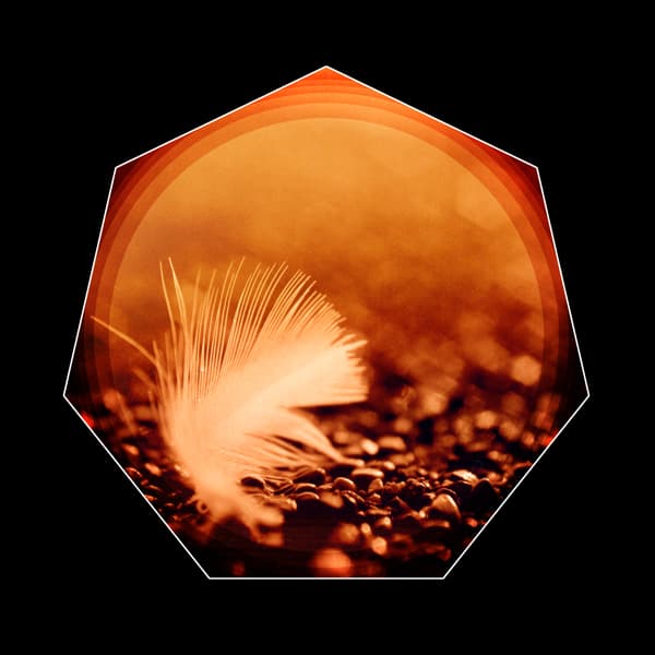 Finding Gaia cover art 4