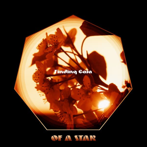 Finding Gaia cover art 5